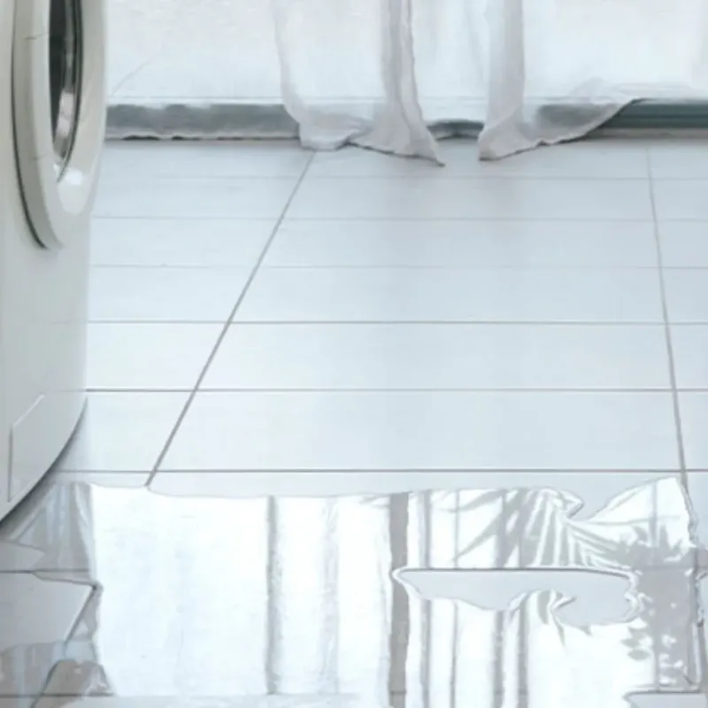 Appliance Leak Cleanup in Port Orange, FL