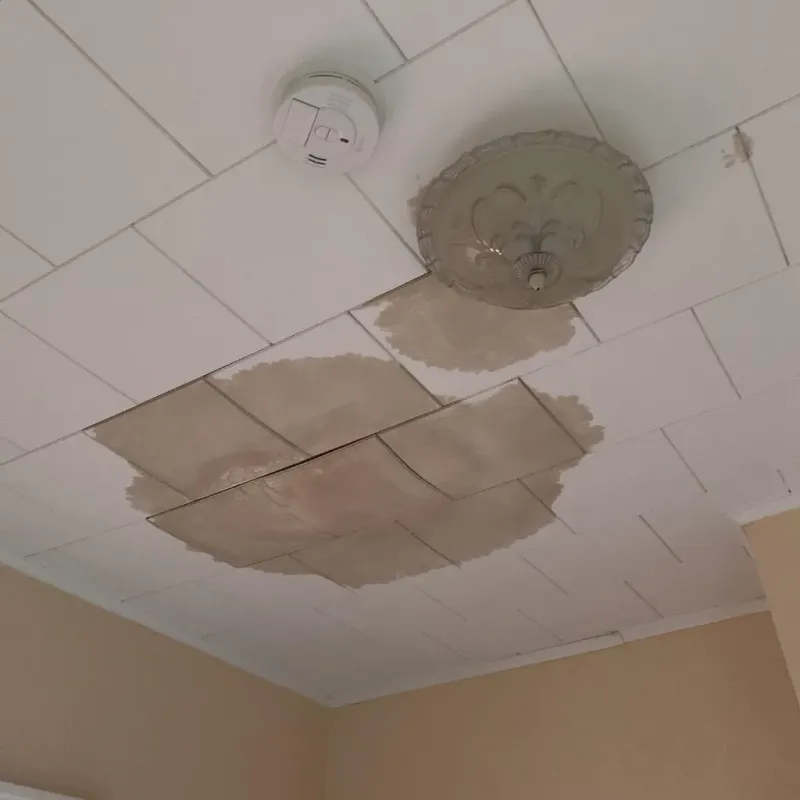 Ceiling Water Damage Repair in Port Orange, FL
